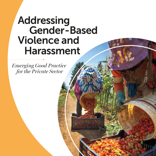 Cover page of good practice guidance note